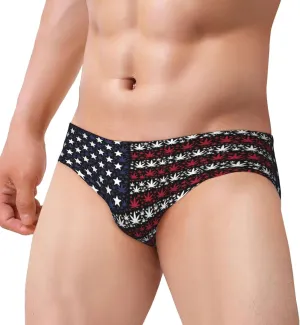 Mens' Athletic Swim Swim Brief Swimsuit Bikini Swimsuit Sexy Swim Trunk