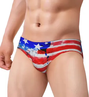Mens' Athletic Swim Swim Brief Swimsuit Bikini Swimsuit Sexy Swim Trunk