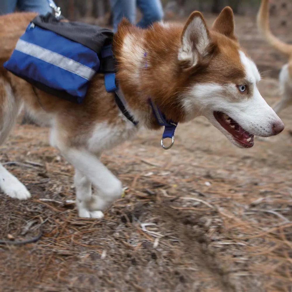 Urban Trail Back Pack